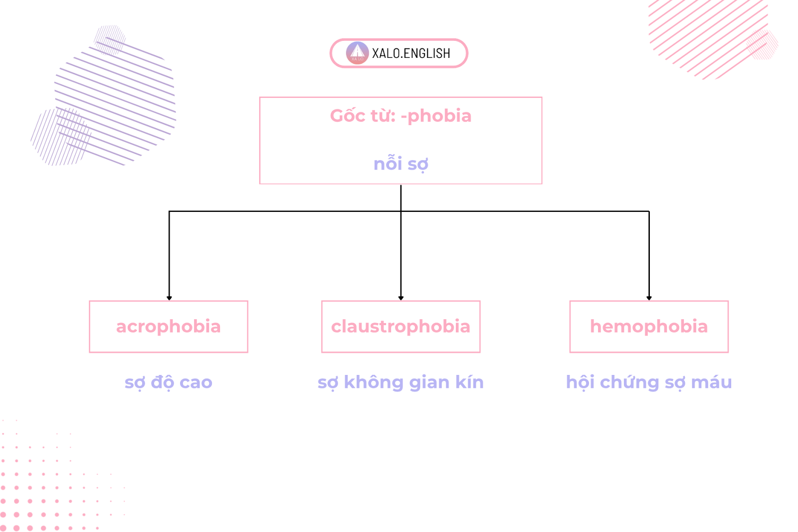 Học từ vựng nhớ lâu bằng cách học theo gốc từ để mở rộng vốn từ theo hệ thống