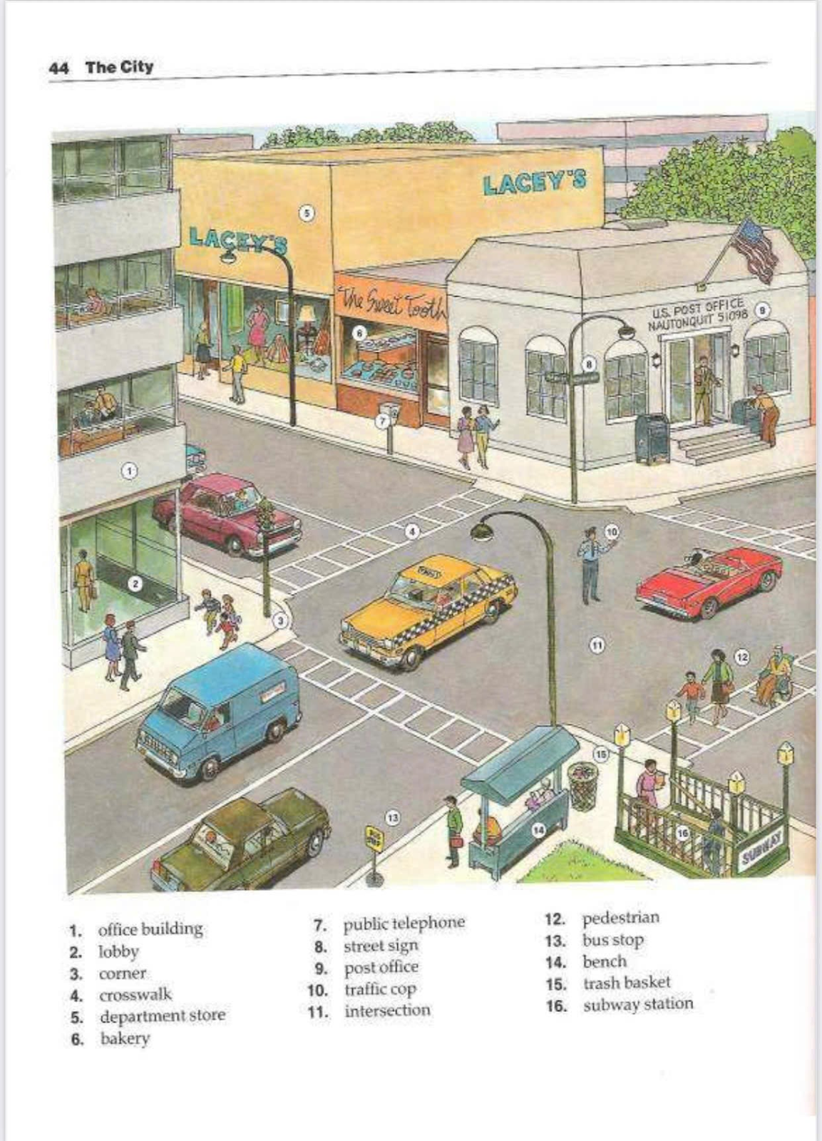 Sách The New Oxford Picture Dictionary có hình ảnh trực quan